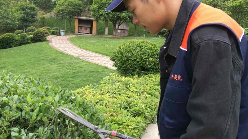 在私家花园设计中，石材的搭配也是一门艺术。以下是一些搭配技巧：