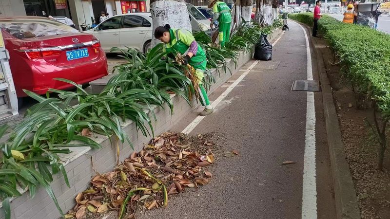 屋顶花园的设计风格与功能应根据实际需求进行选择：