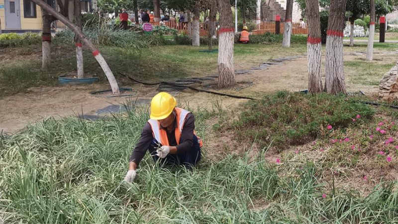 园林绿化资质甲级与乙级：参数对比解析**