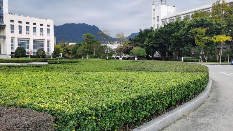 屋顶草坪沙土配比：如何打造绿色生态屋顶