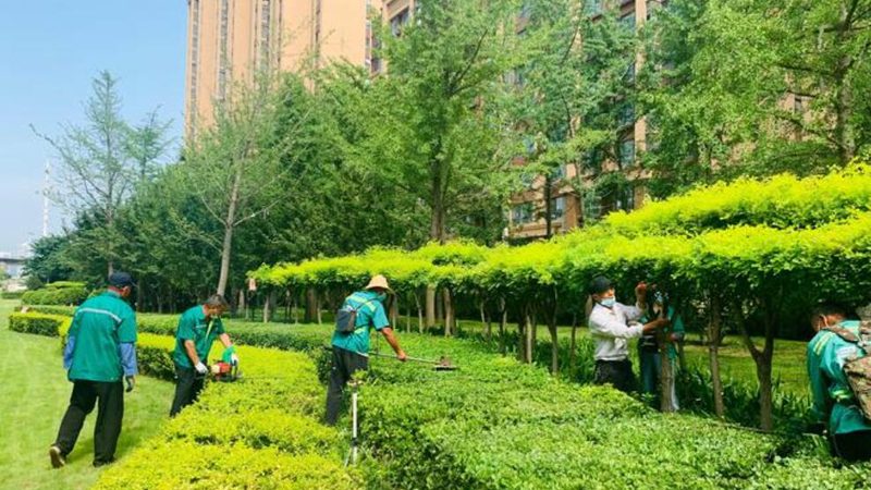 自动灌溉系统材质选择：关键要素与误区解析